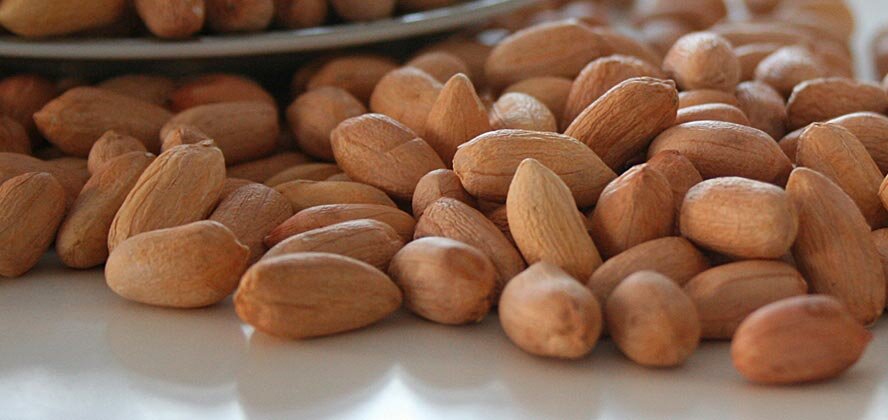 Industrial enterprise Başpınar Fıstıkçılık, Osmaniye, photo