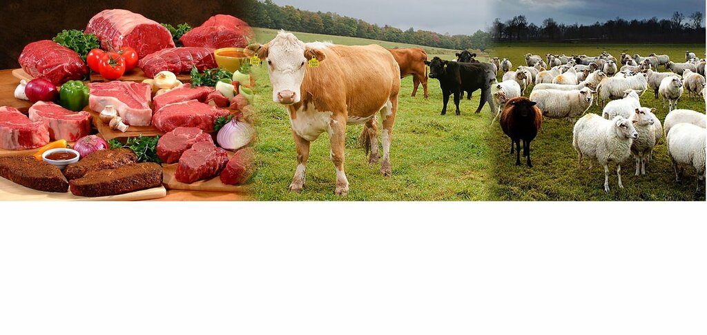 Associations and industrial unions Tüketbir, Ankara, photo