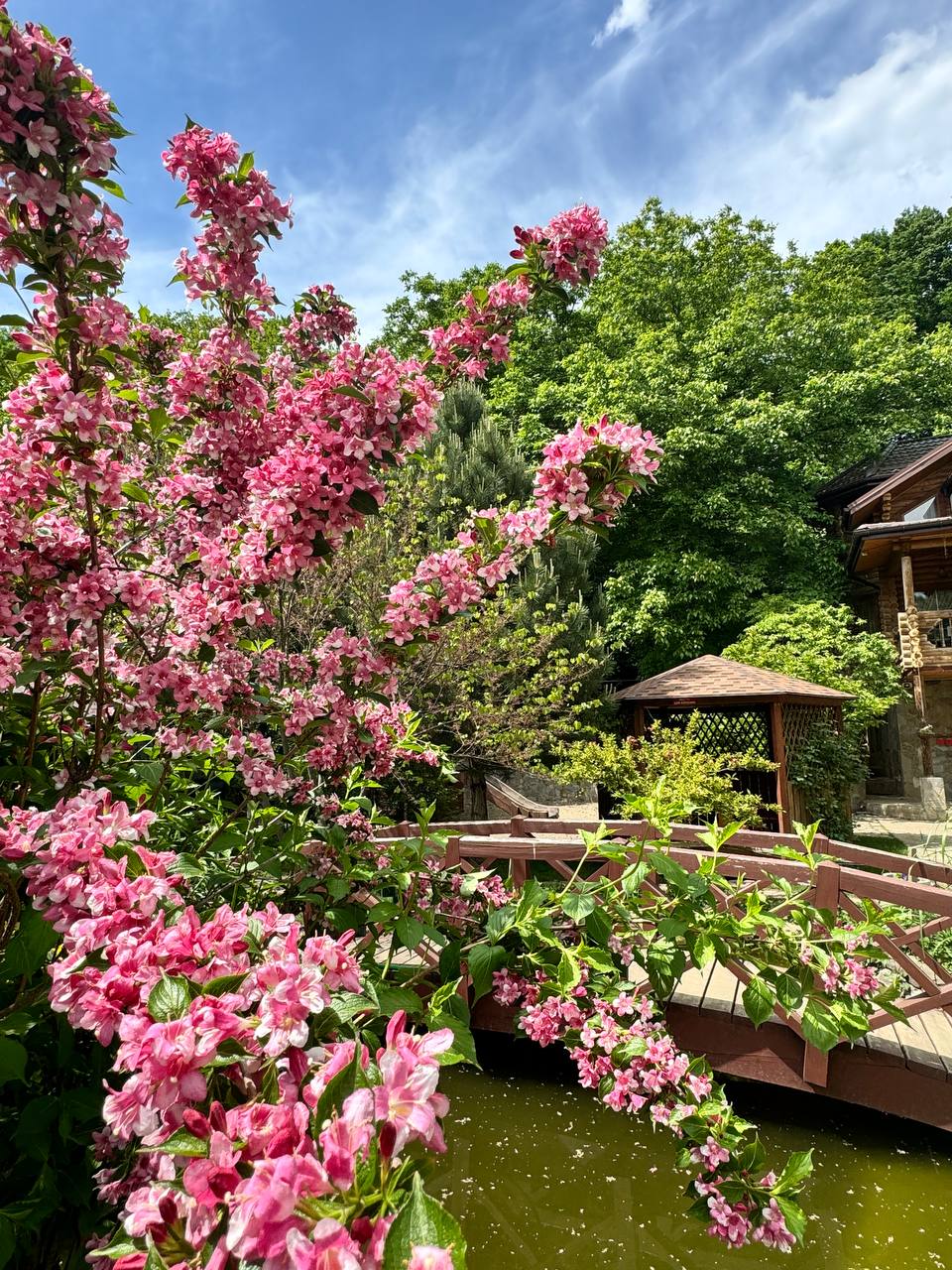 Фото Рябиновые бусы