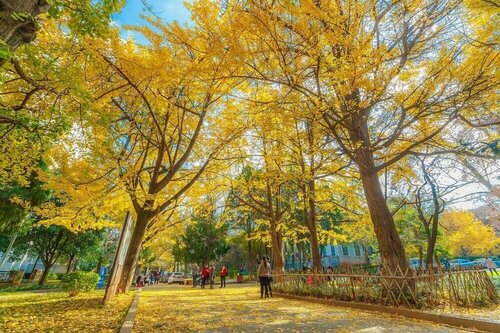 Внешний вид отеля Grand Park Kunming в Куньмине, фото 5