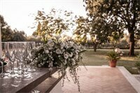 Гостиница Villa Strampelli в Помеции