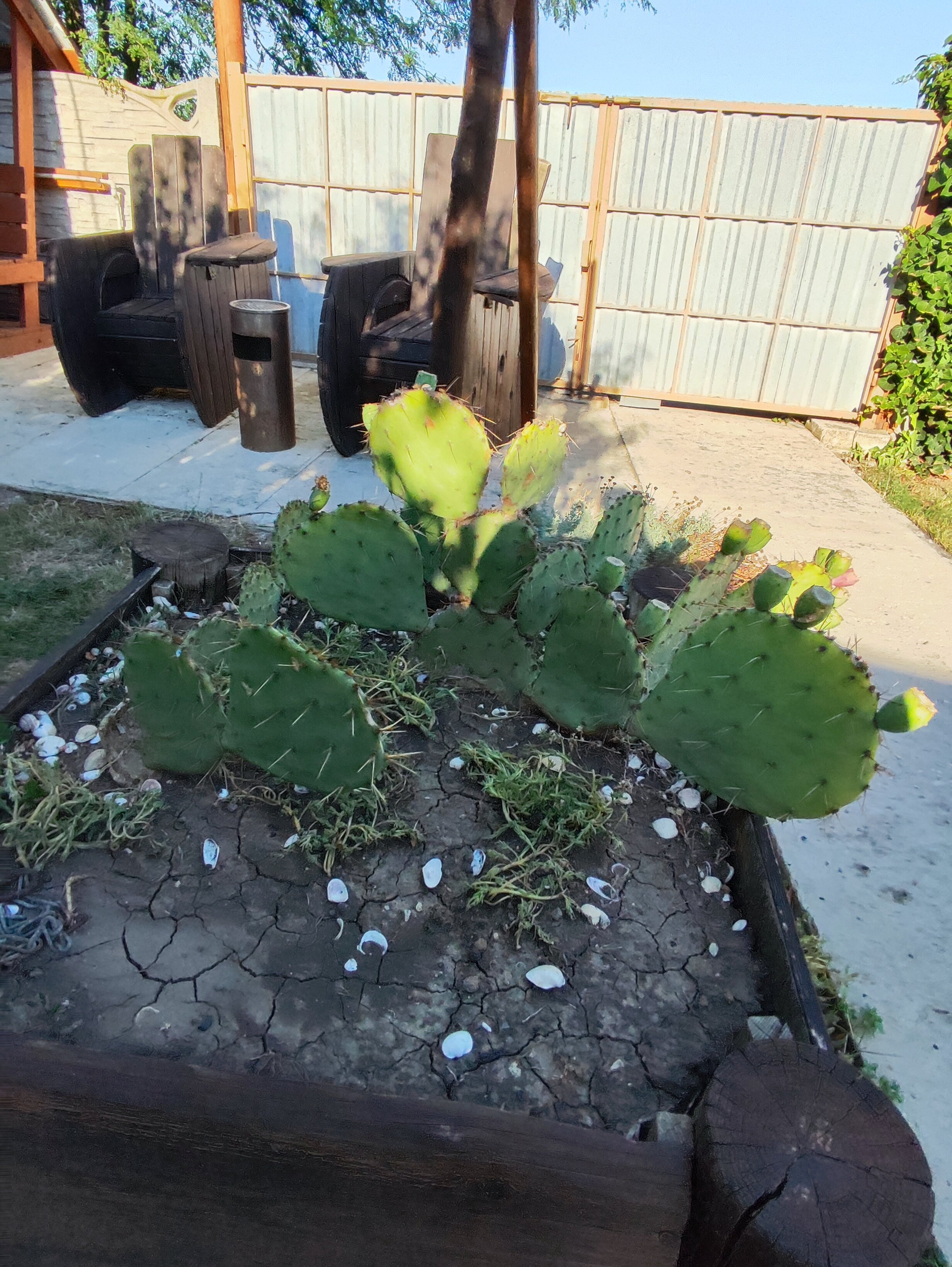 Фото Ранчо Беляус