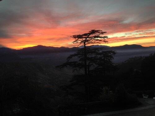 Внешний вид отеля Hotel Springfields в Шимле, фото 3