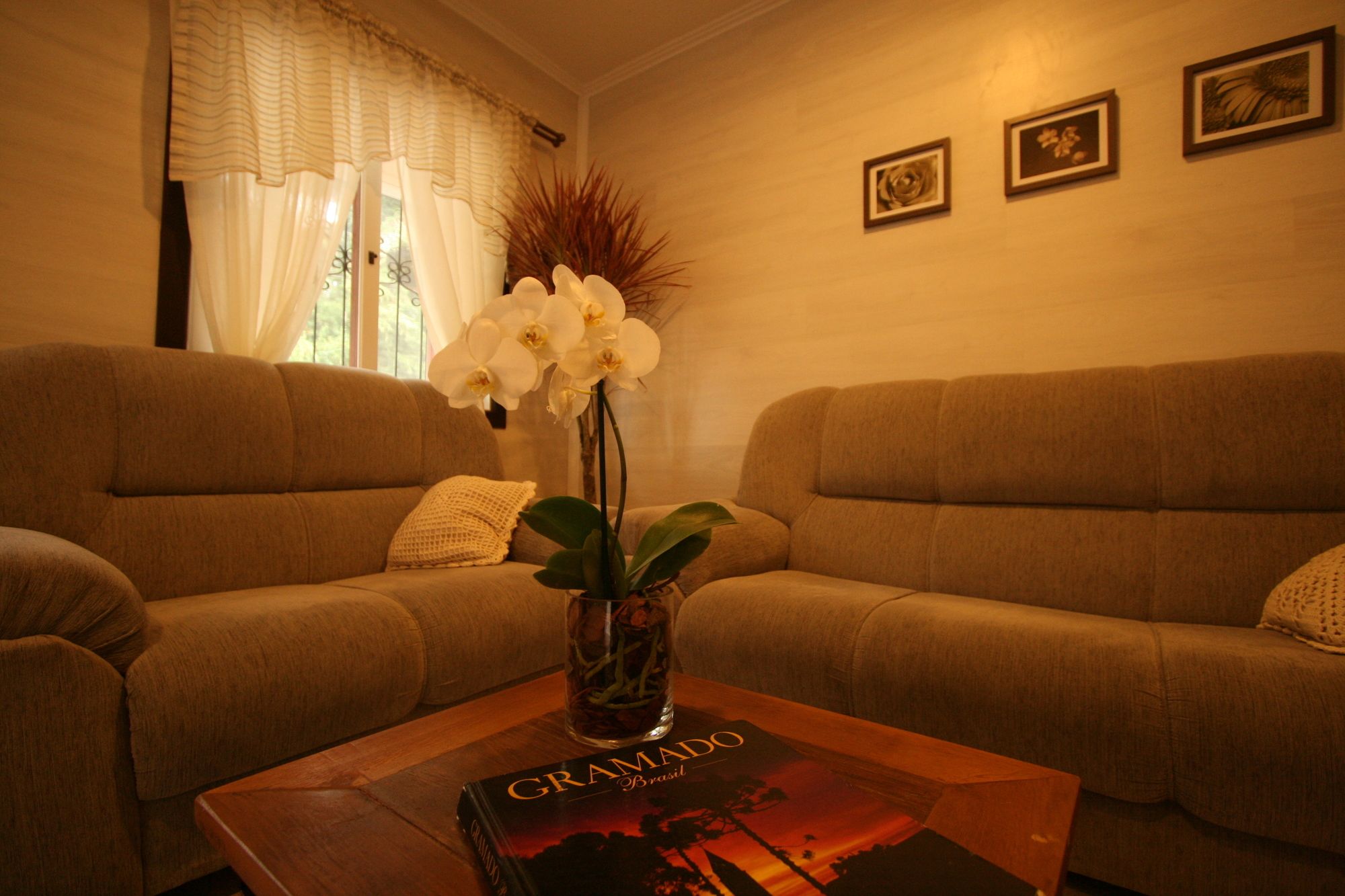 Фото Pousada Jasmim