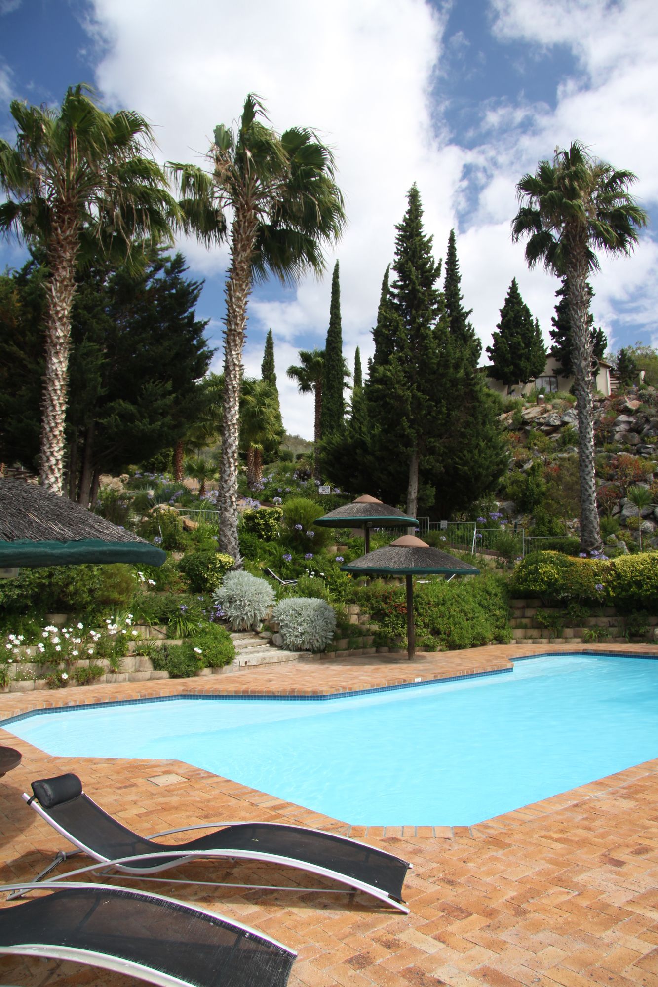 Фото Montagu Springs Resort