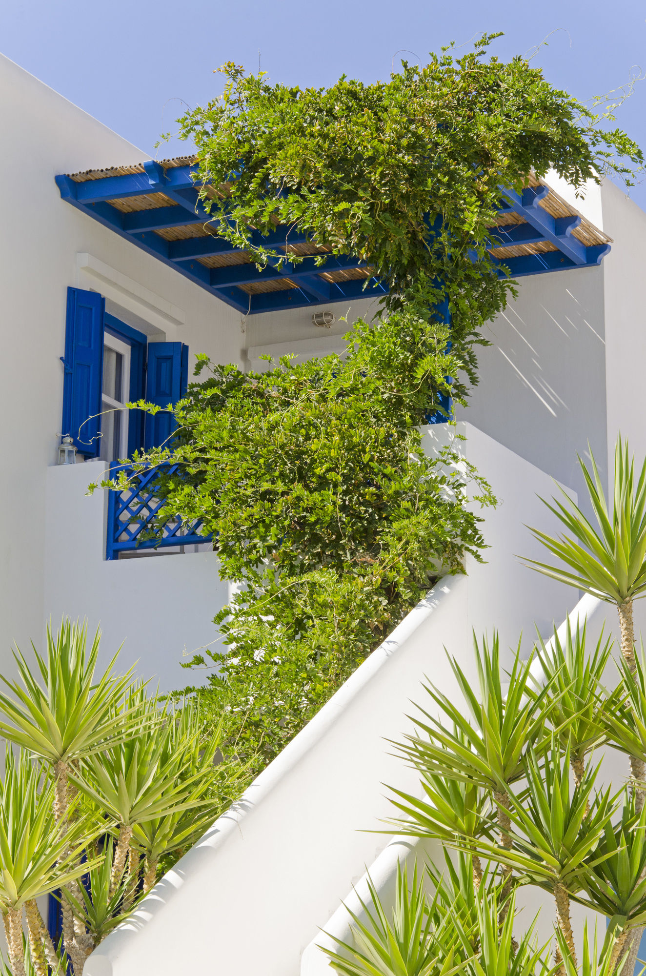 Фото Mouras Studios