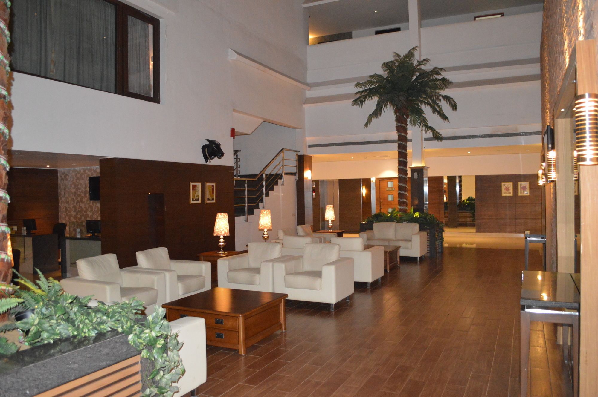 Фото Hotel Moti Mahal