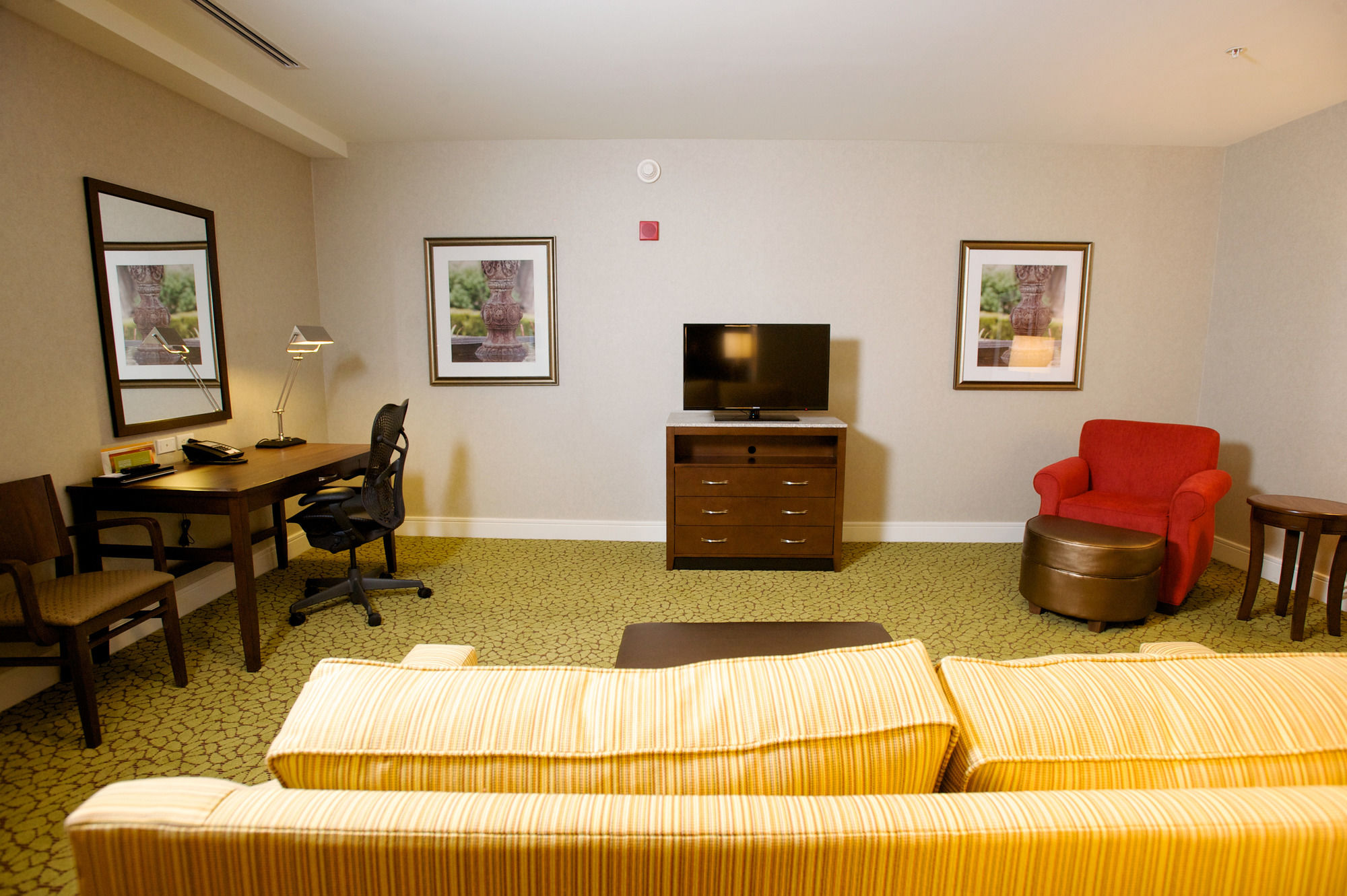 Фото Hilton Garden Inn Buffalo Downtown