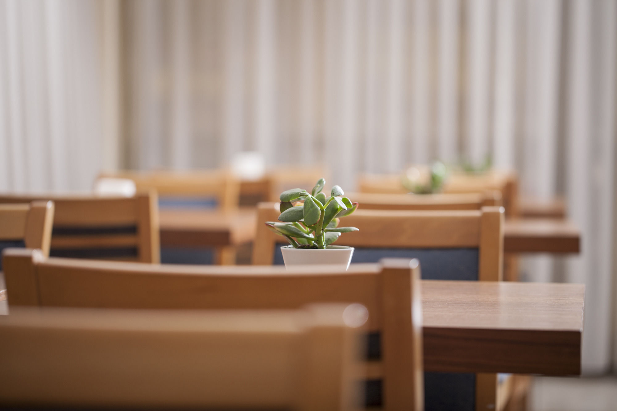 Фото Telioni Hotel