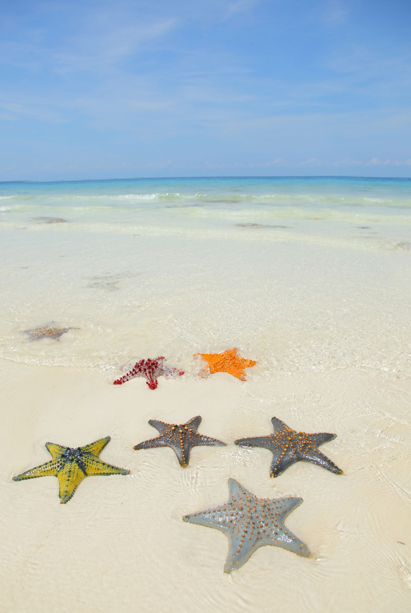 Фото The Z Hotel