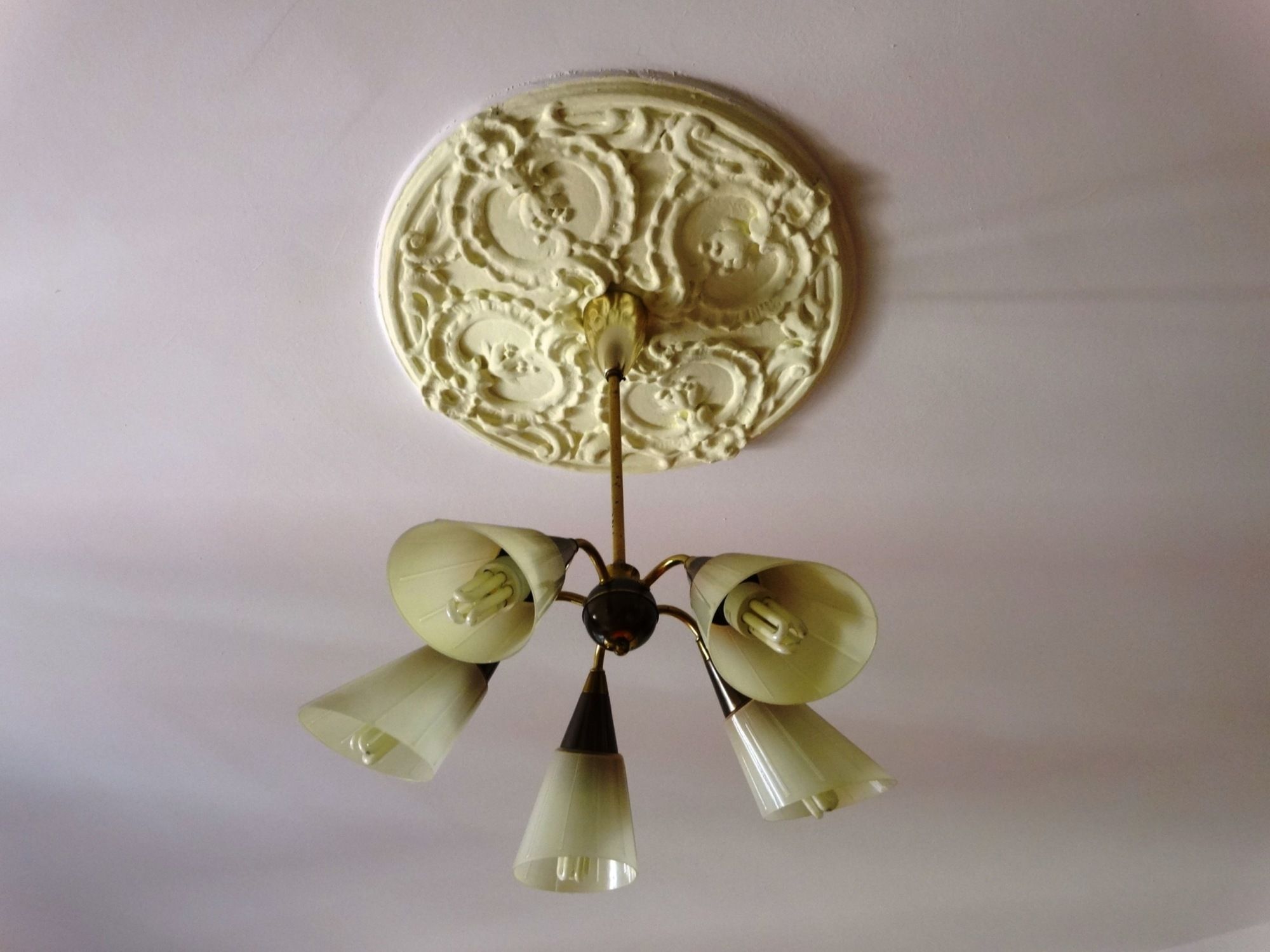 Фото Paprika Apartman