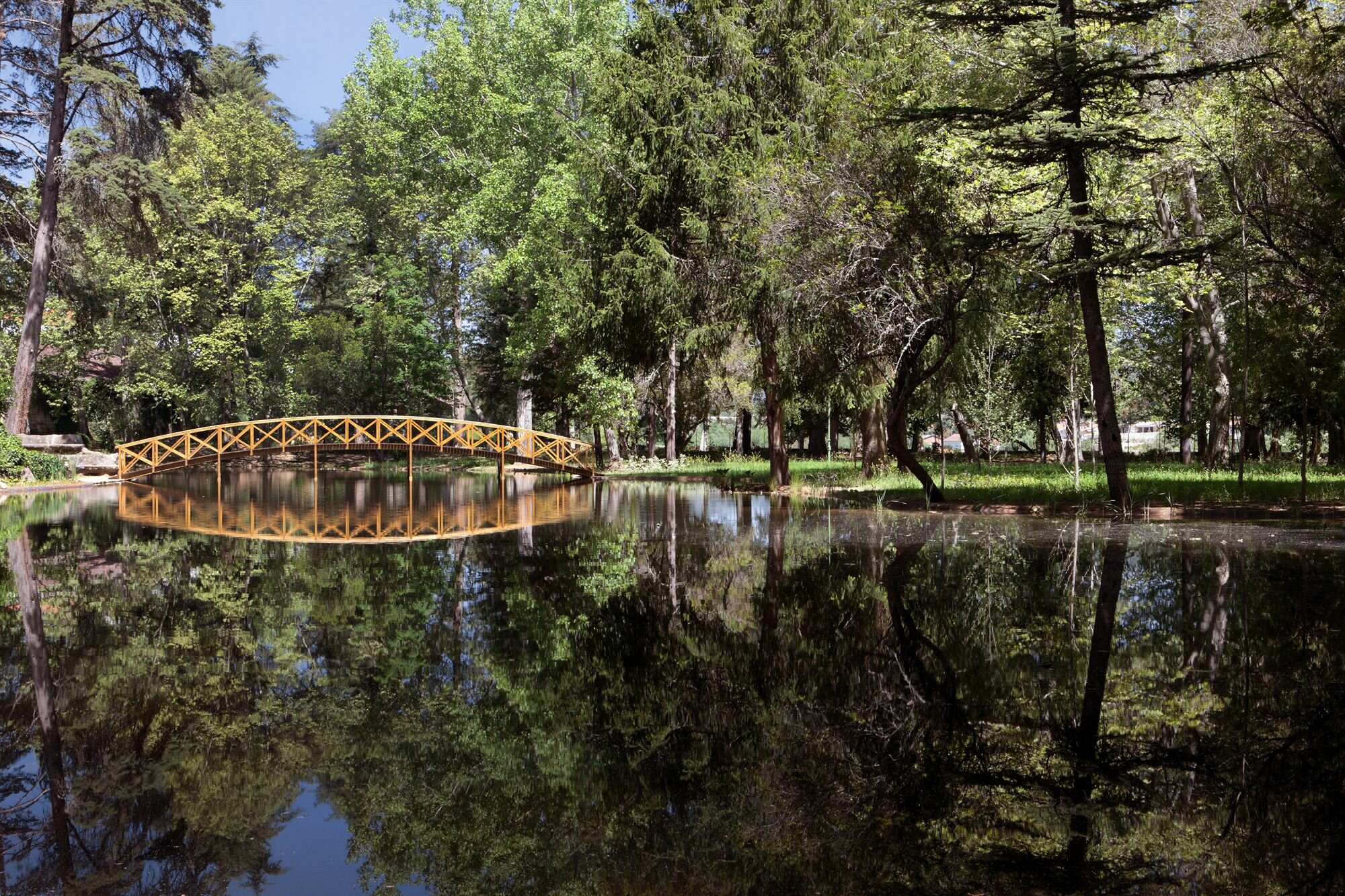 Фото Vidago Palace Hotel