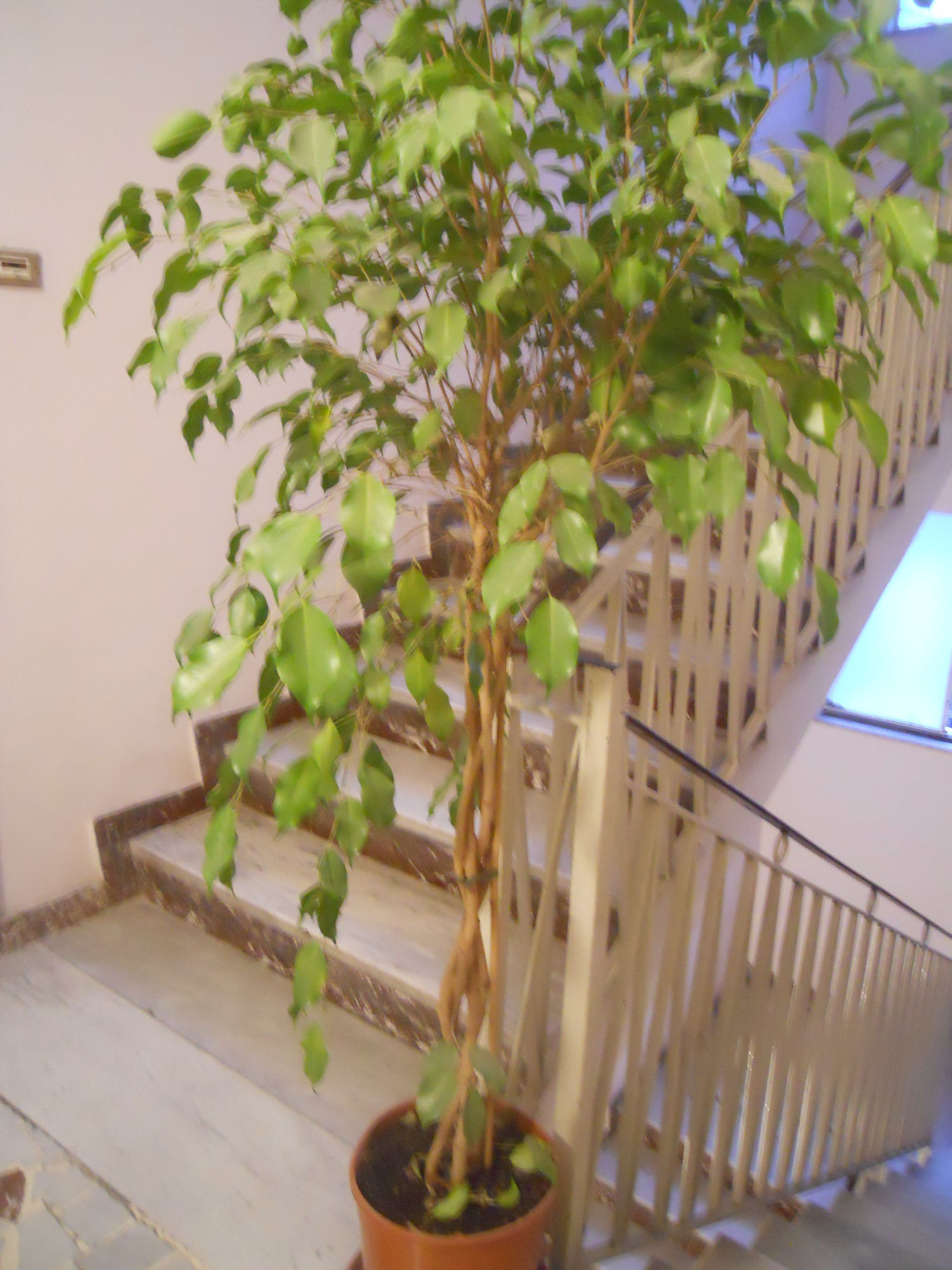 Фото Catania Crossing B&b Rooms and Comforts