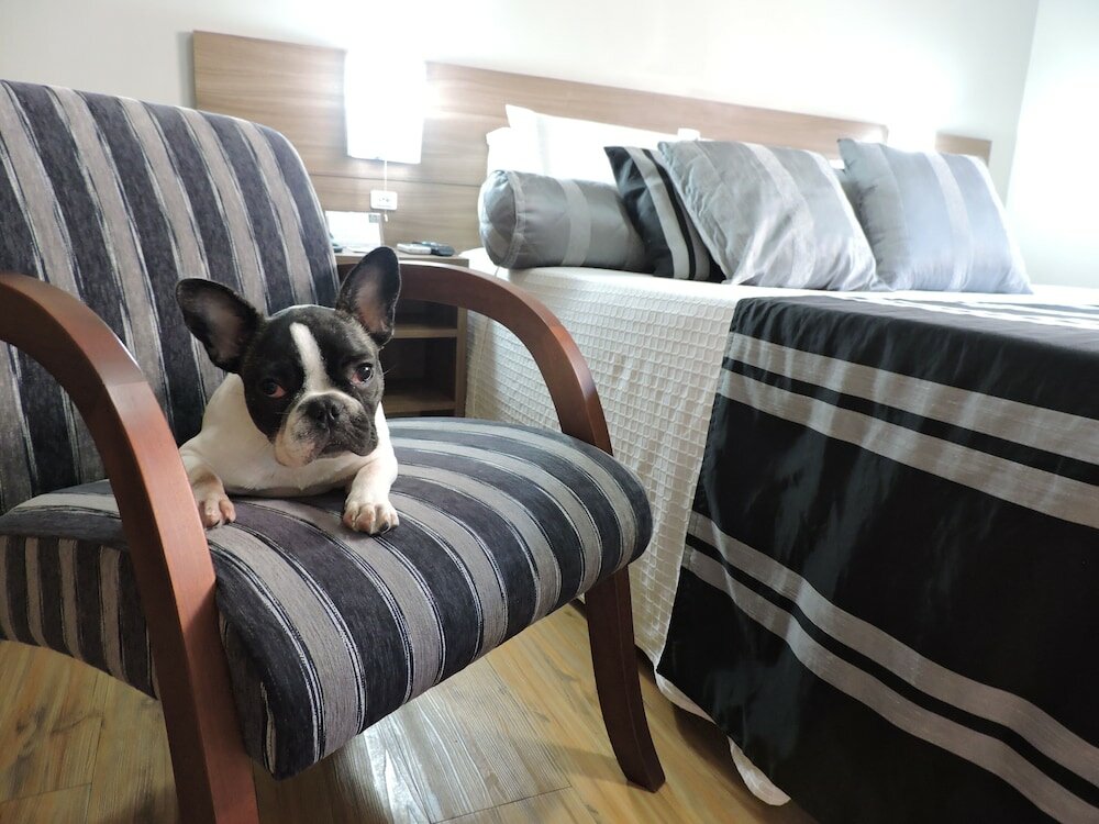 Фото Açores Premium