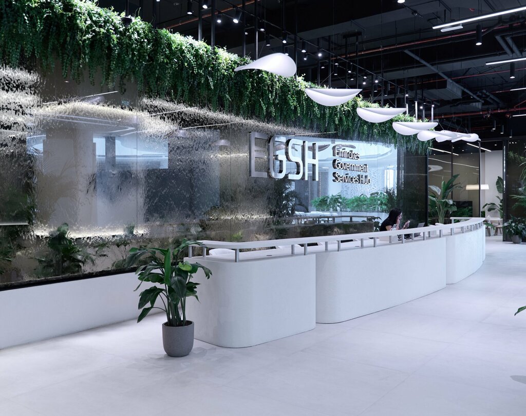 Business consulting Emirates Government Services Hub, Dubai, photo