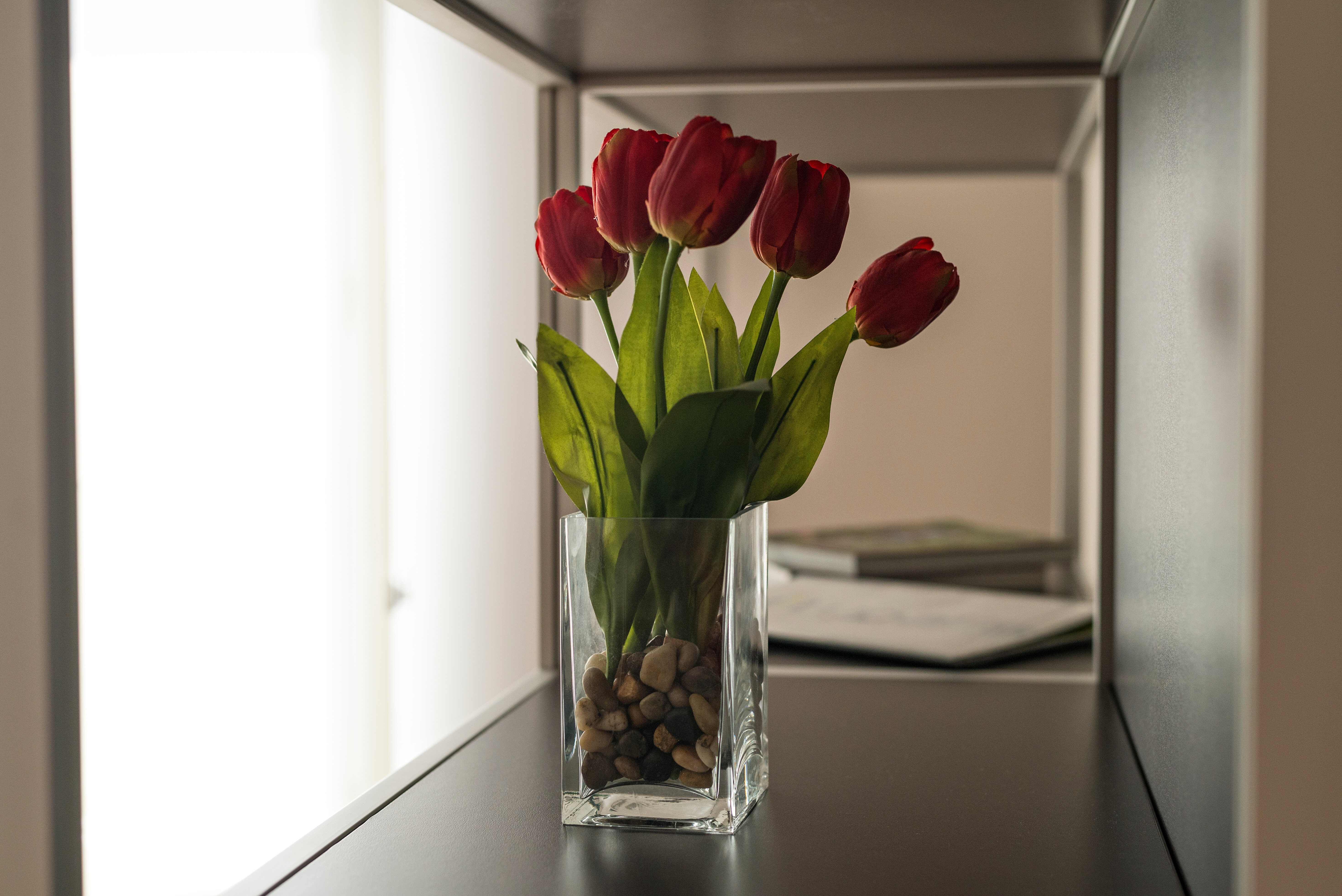 Фото Lugaris Beach