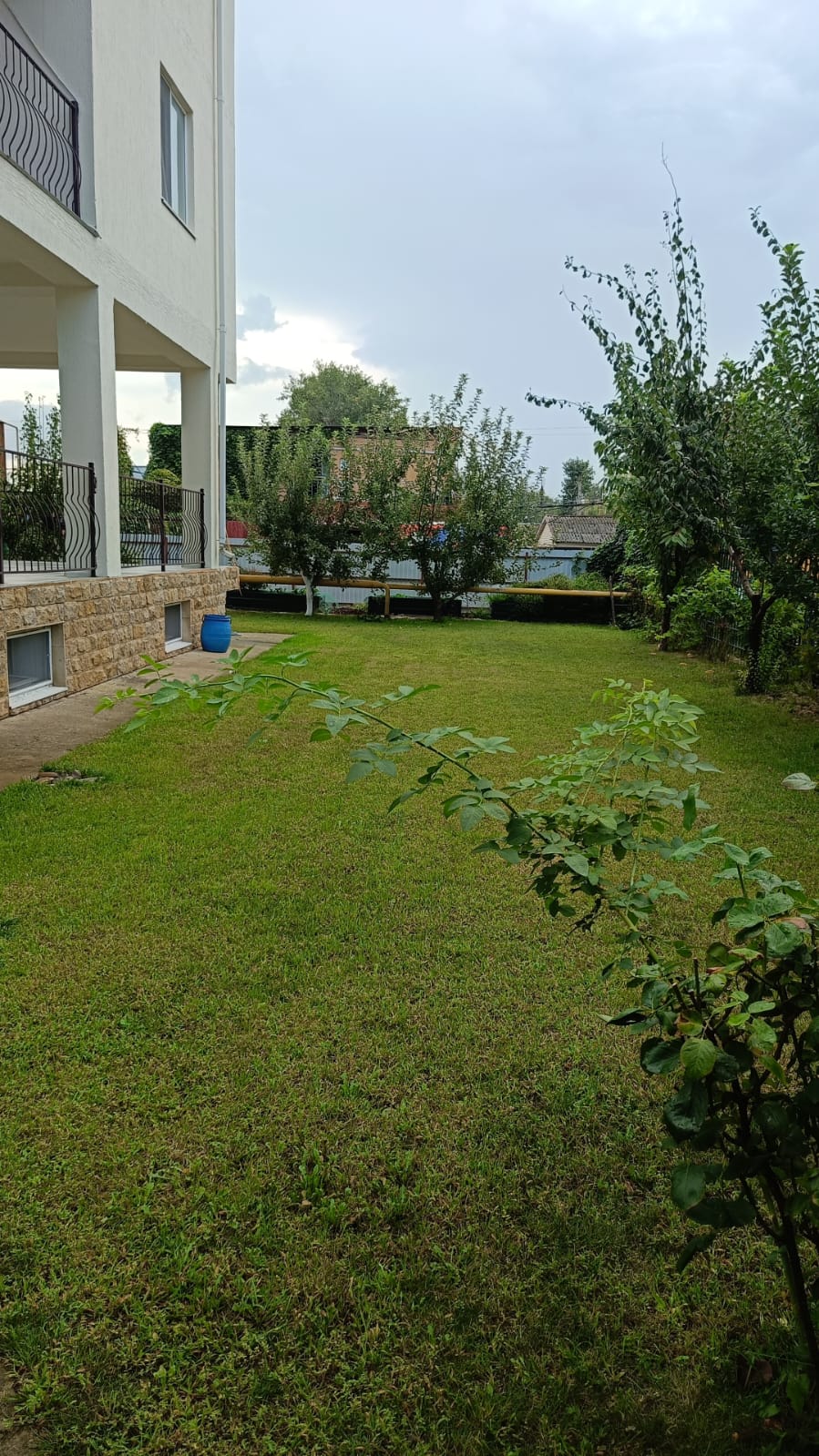 Фото В дюнах Анапы