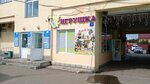Alfa Nedvizhimost (Malysheva Street, 17), empresa evaluadora