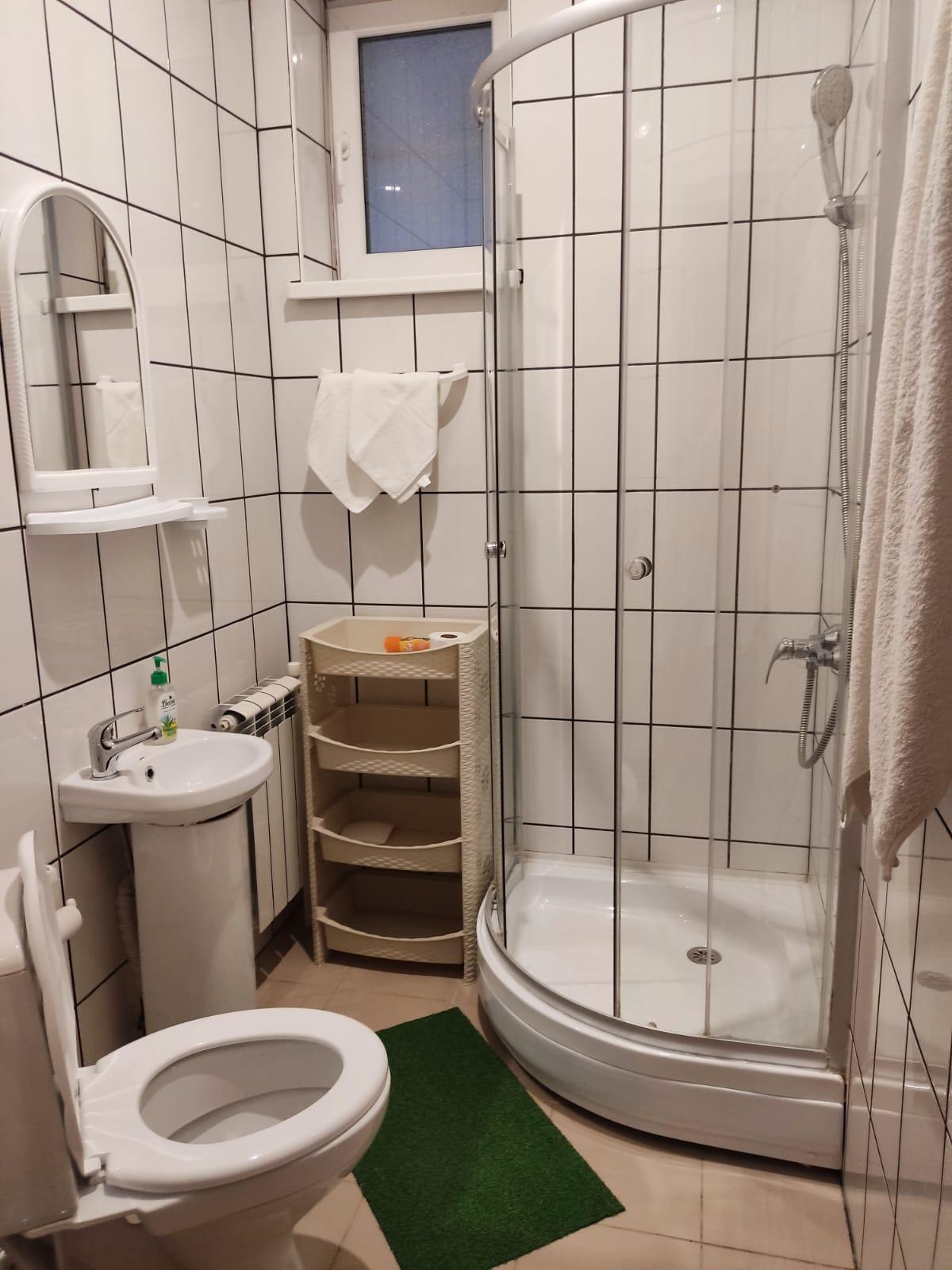 Фото Абрикос