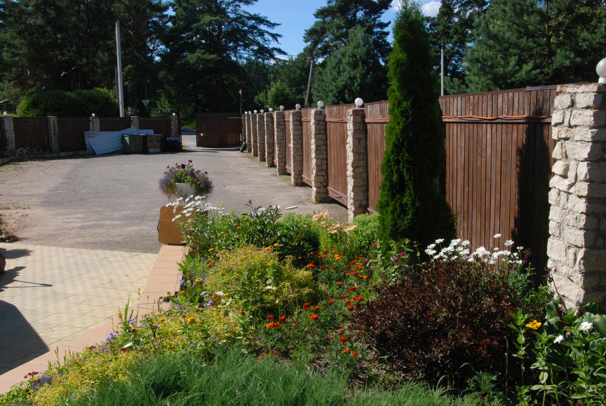 Фото Смоленка