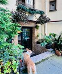 Re-Center (Kamennoostrovskiy Avenue, 26-28), phone repair
