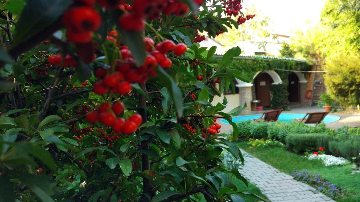 Фото Гостевой дом K&t