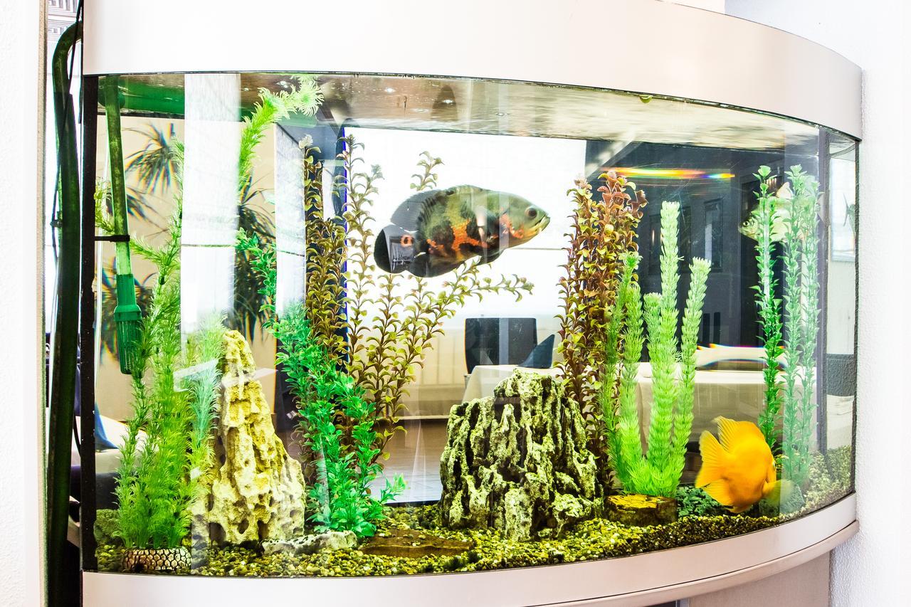 Фото Новинка