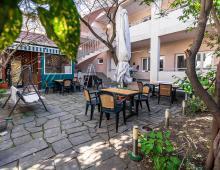 Фото Абрикос