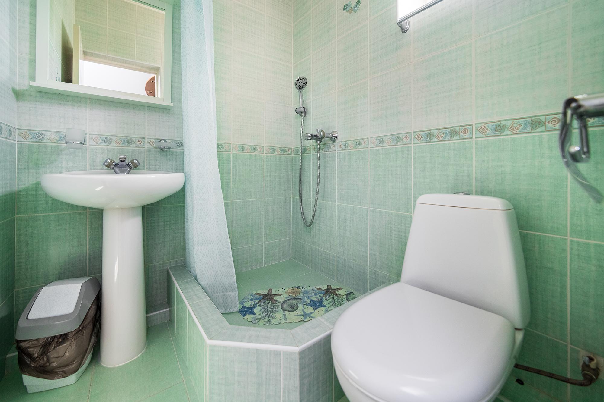 Фото Абрикос