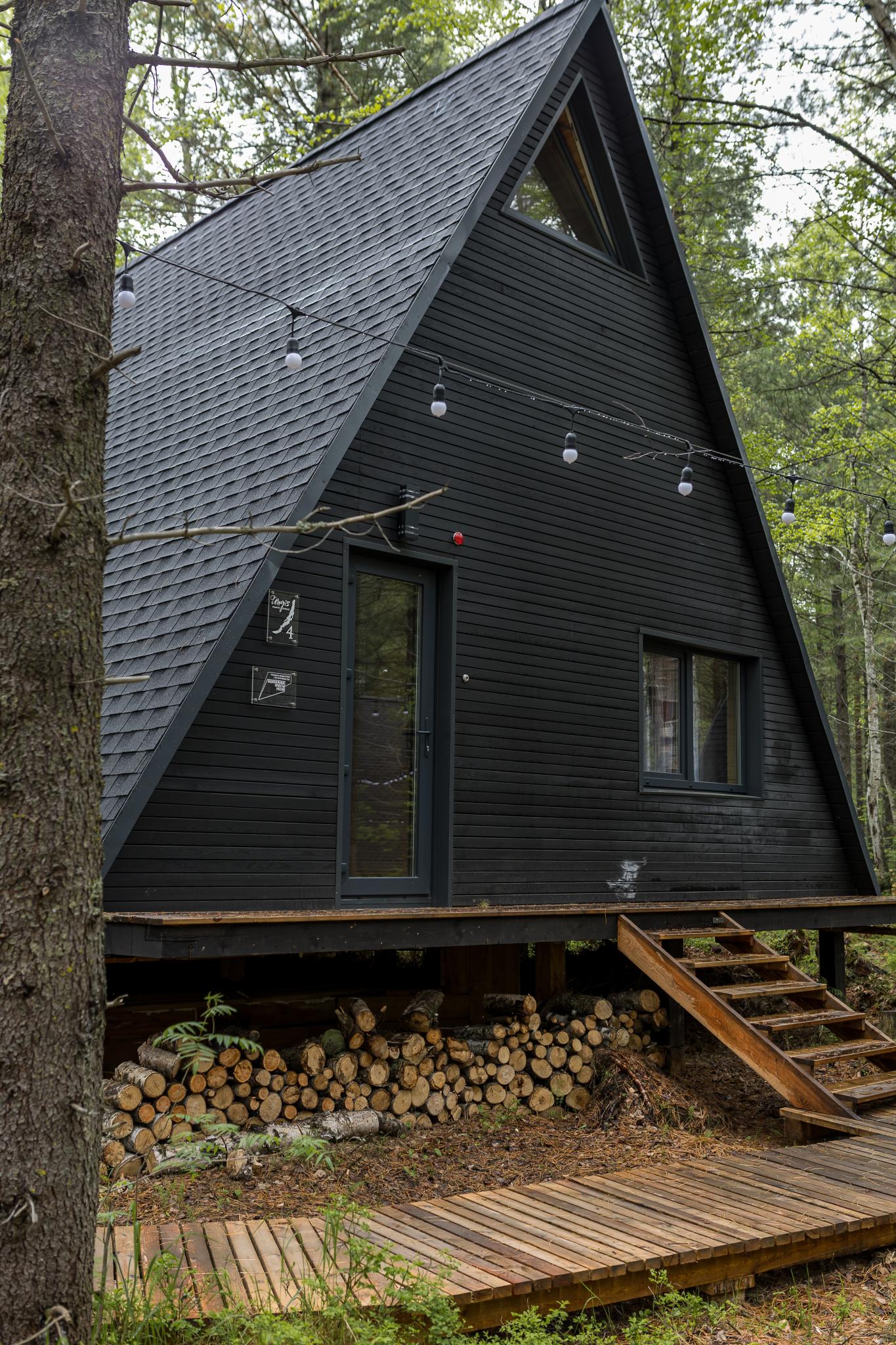 Фото Тэнгис