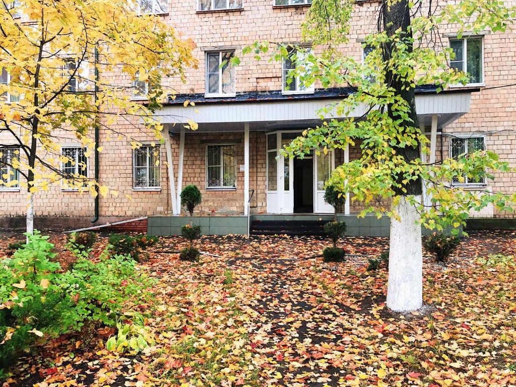 Фото Адонис