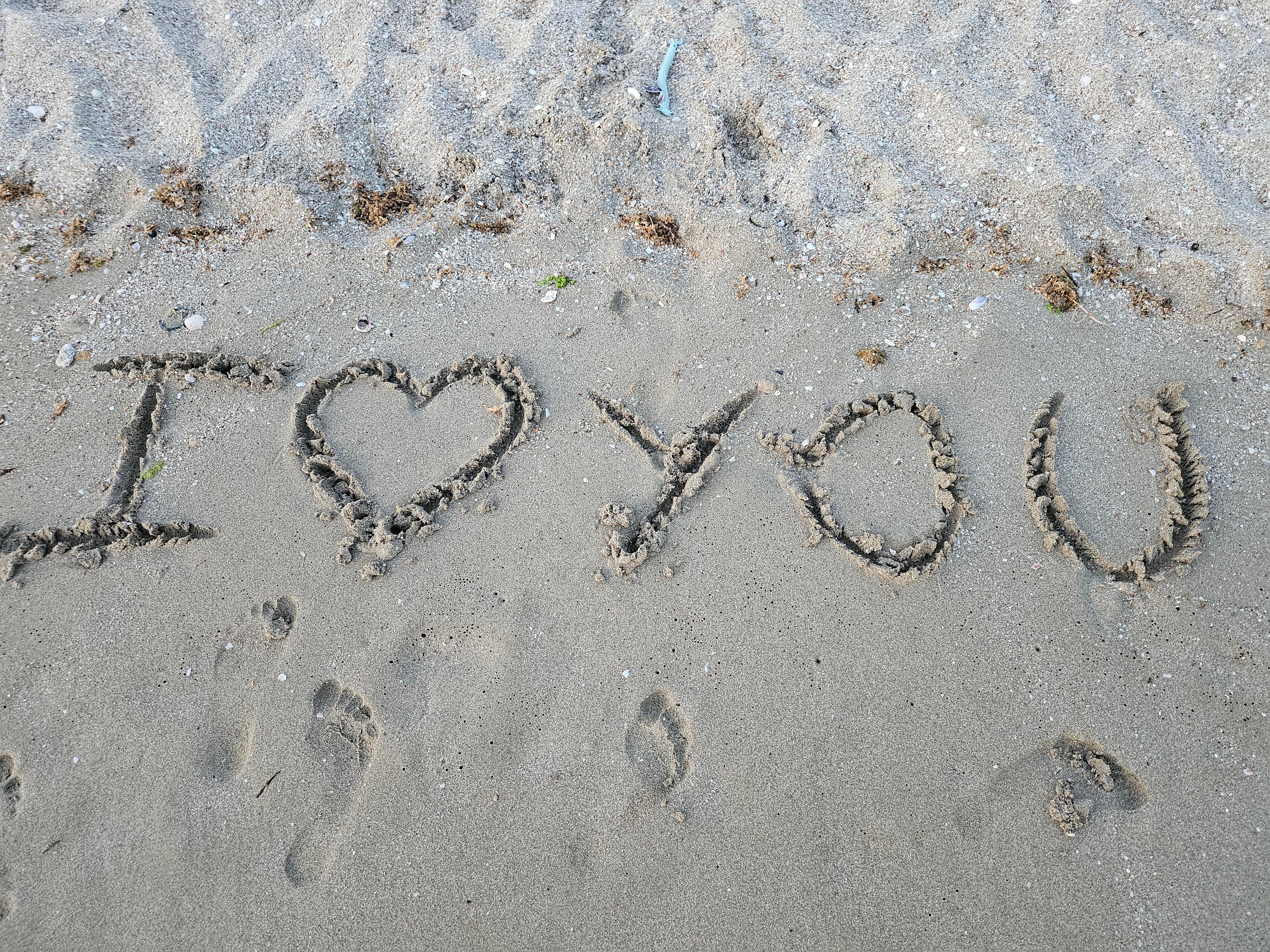 Фото Керкинитида Крабья бухта