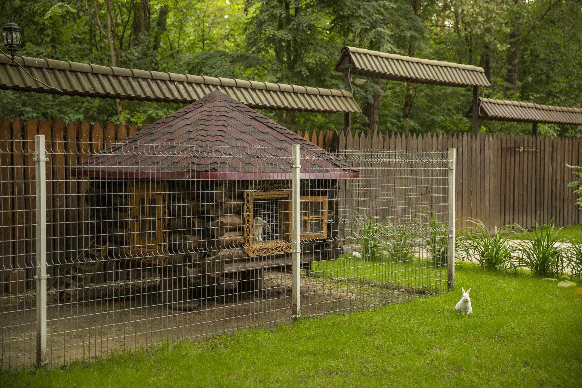 Фото Сосновый Бор