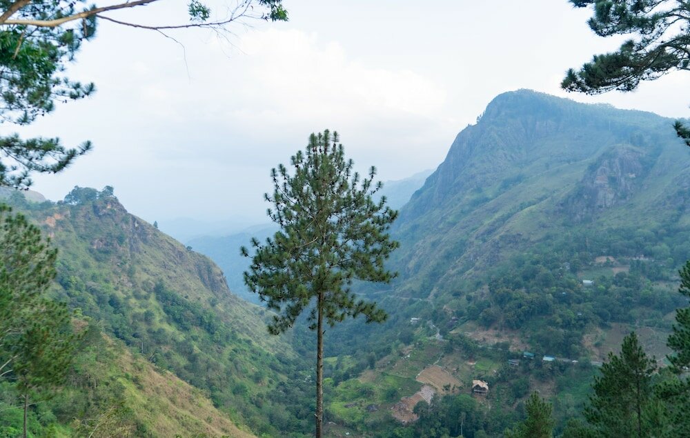 Фото Natur's Grove Ella