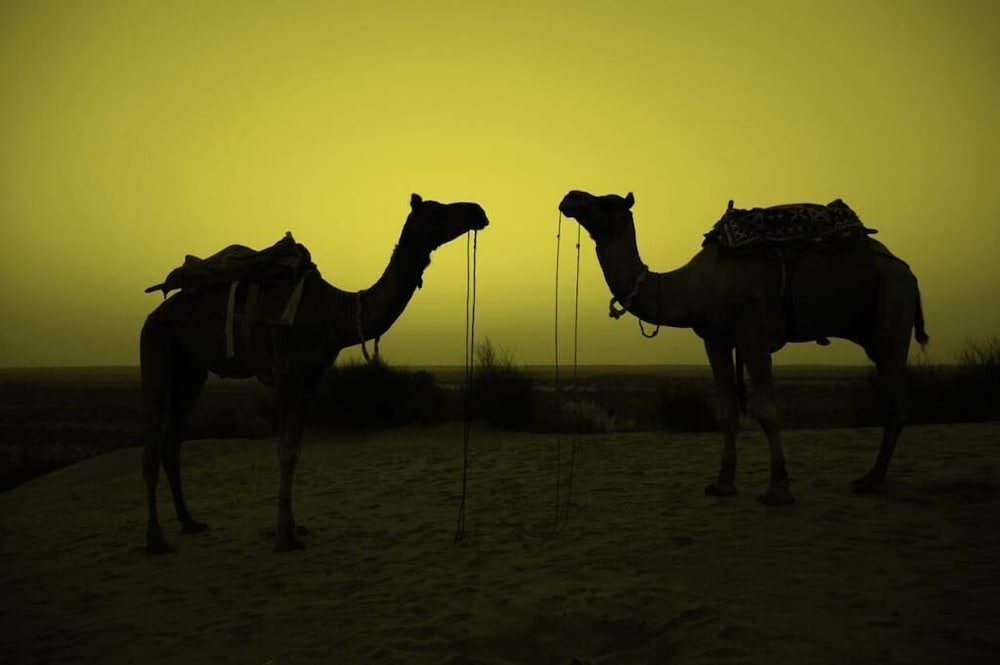 Фото Gangaur Desert Resort