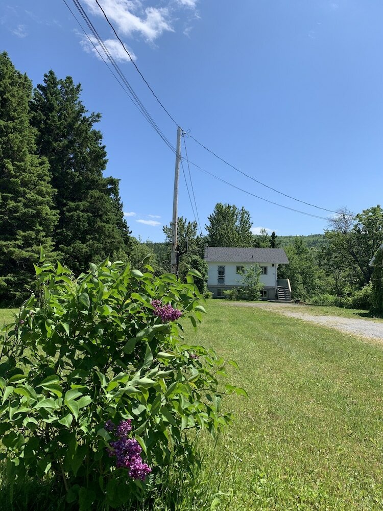 Фото Les chanterelles de Forillon