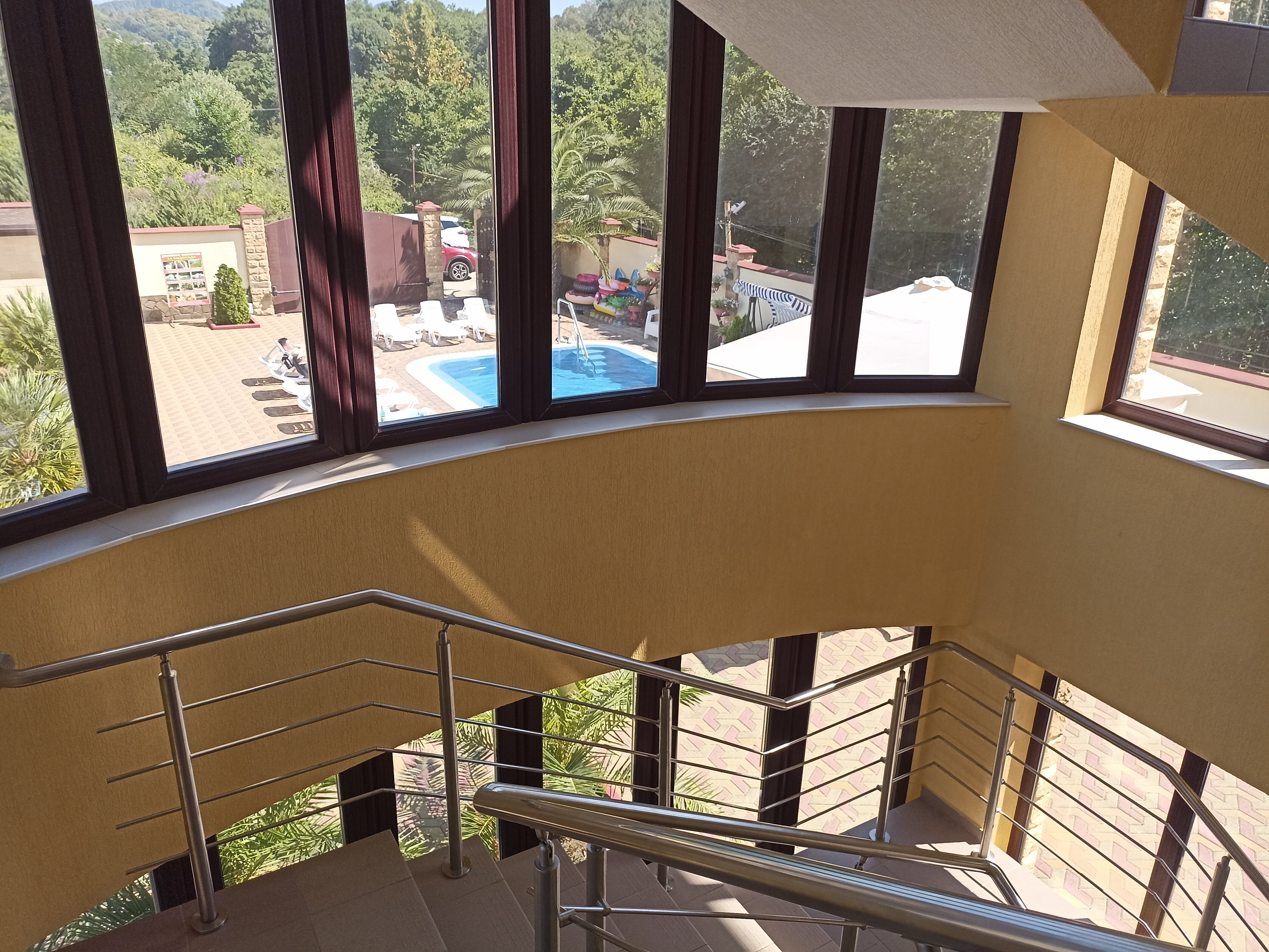 Фото Золотой Лев