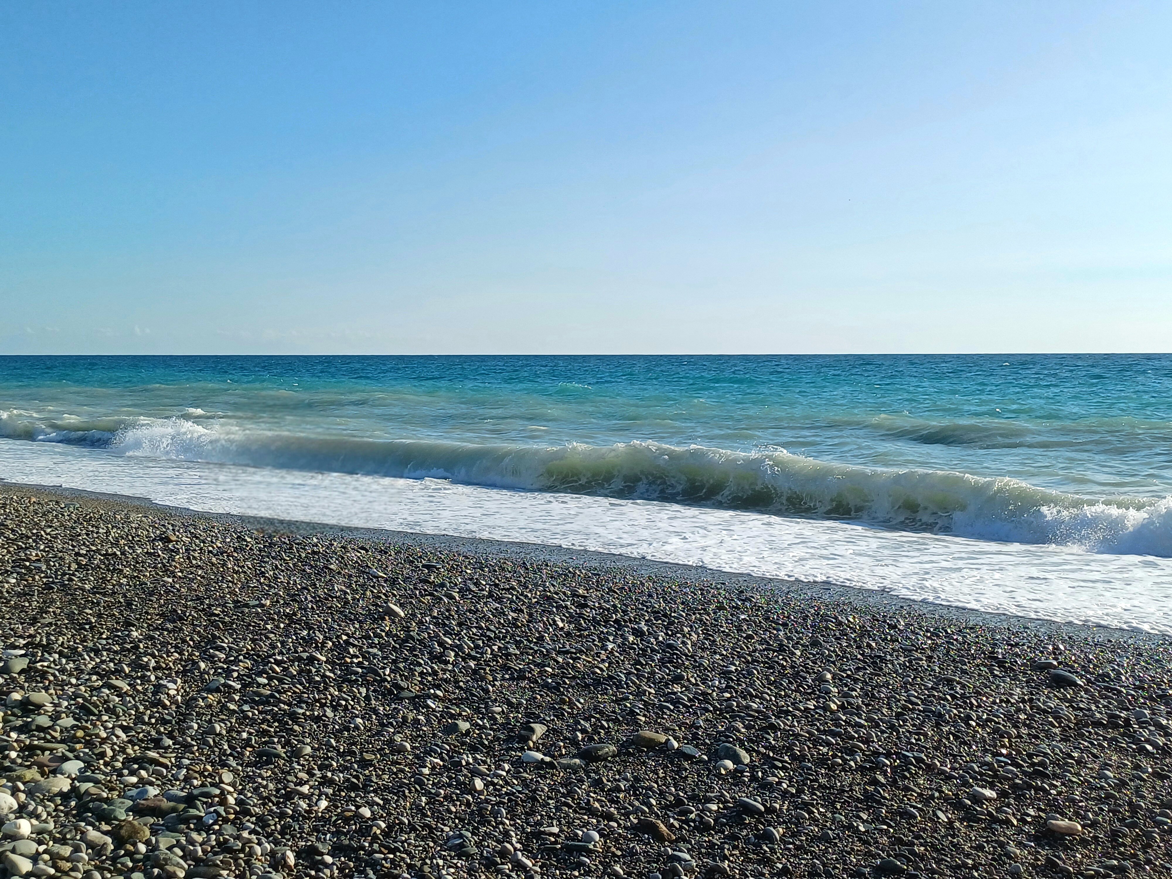 Фото Династия