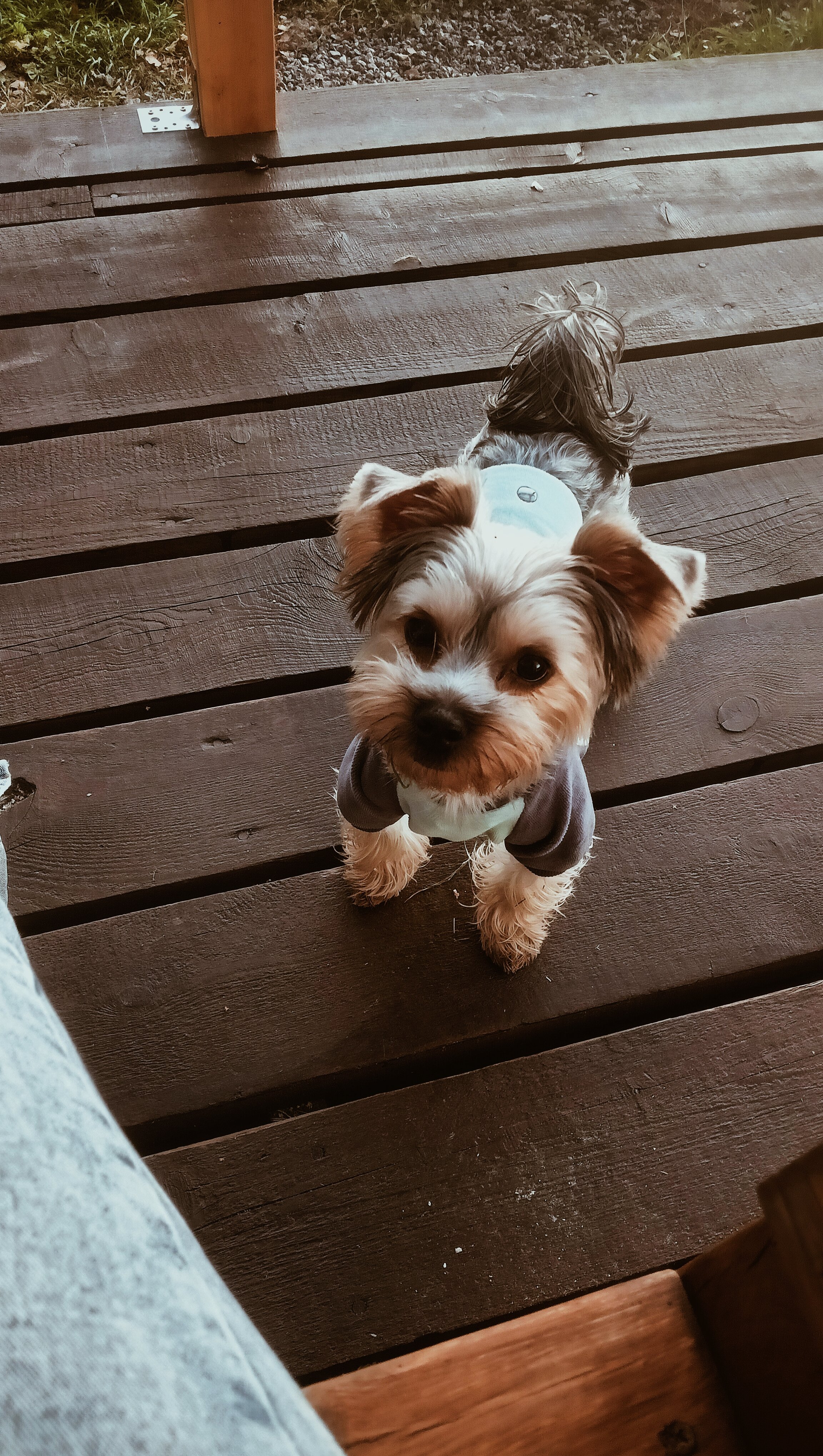 Фото Крутой