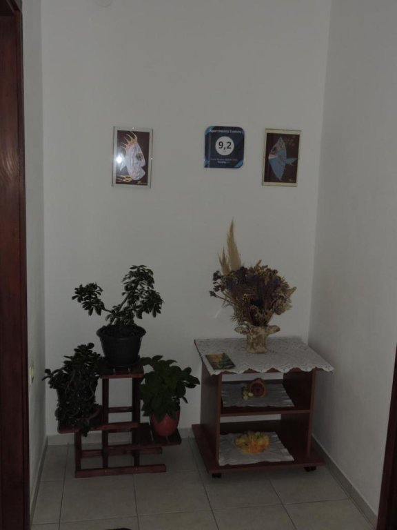 Фото Apartments Ivanov