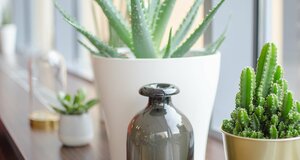 Гостиница Best Western Plus Plaza Hotel Graz