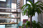 Blinkers (Mira Avenue, 26с1), opticial store