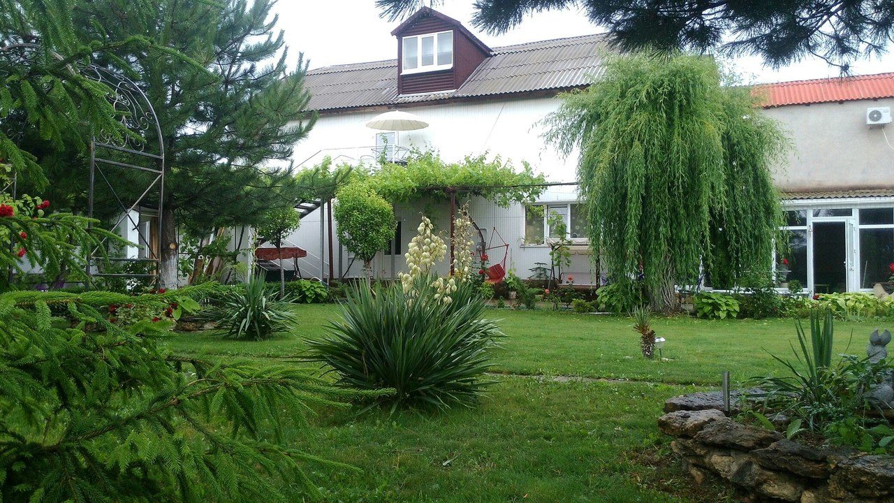 Фото Ивушка