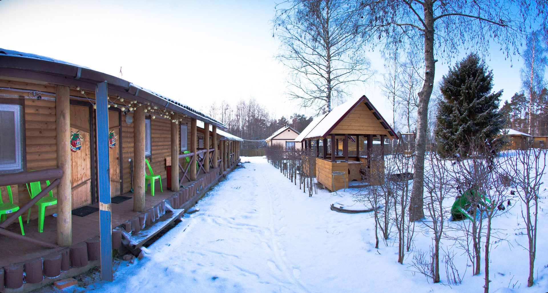 Фото Беличье