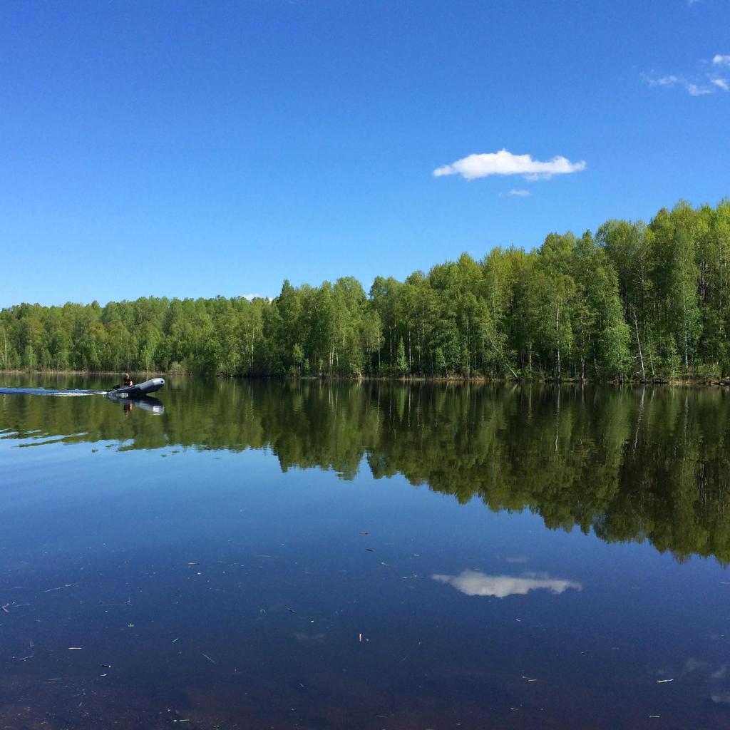 Фото Марциальные ключи
