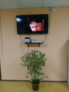 Хостел День и Ночь