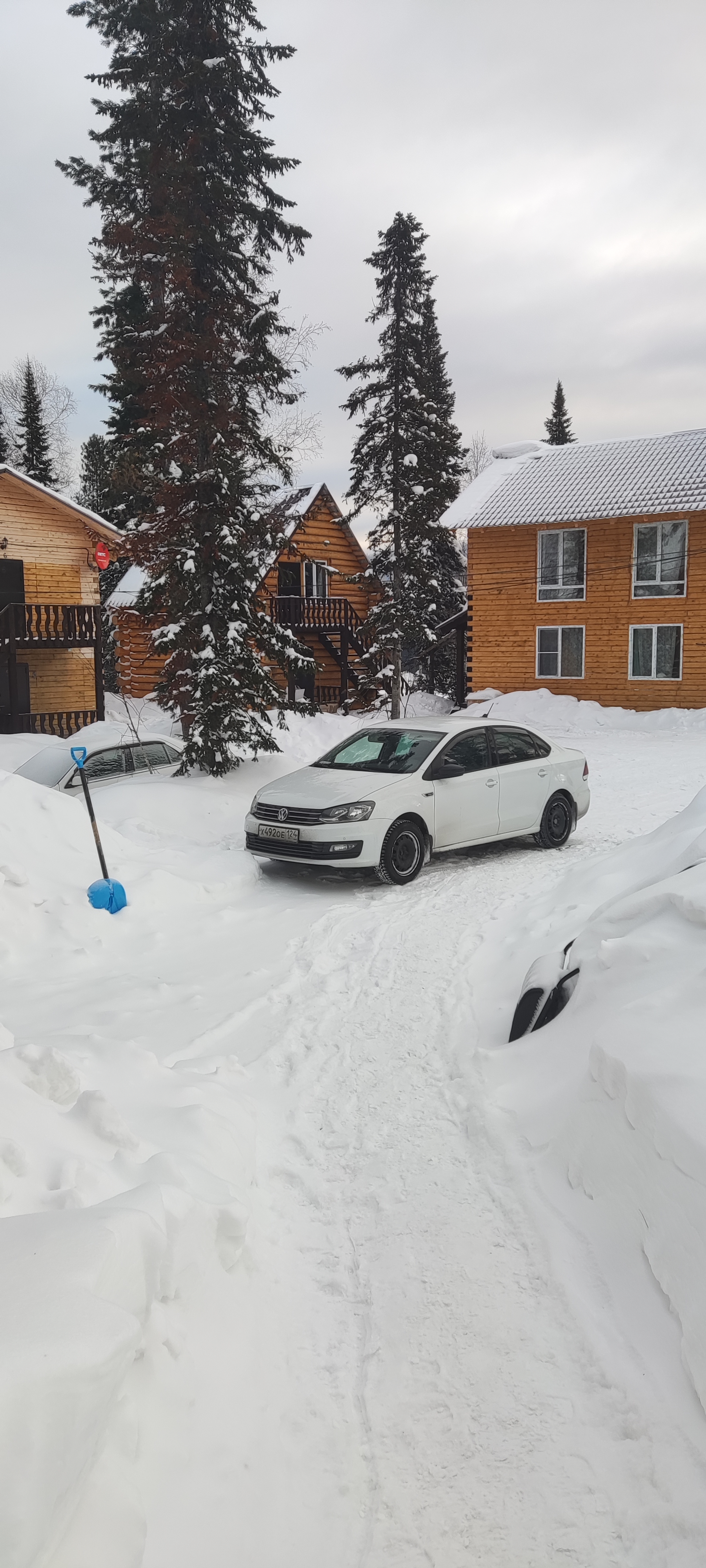 Фото Сила Сибири