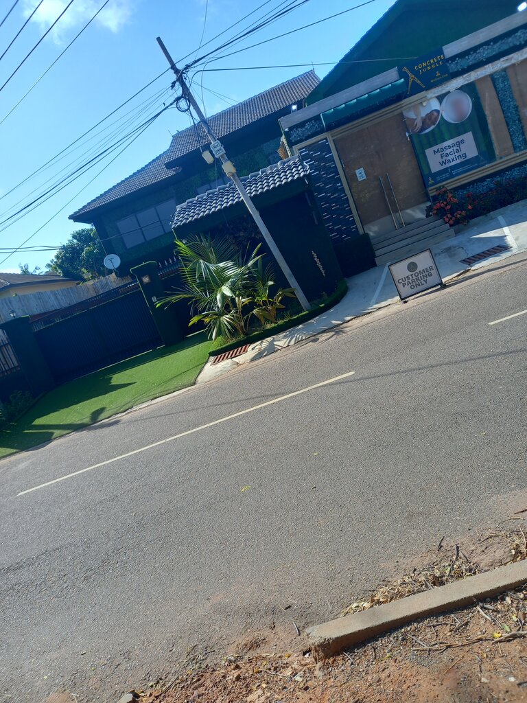 Cafe Concrete Jungle Club, Earth, photo