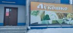Продукты (Dorozhnaya ulitsa, 24), grocery