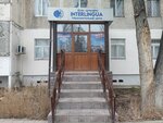 Interlingua (Junusaliev street, 2) ، دورات لغة أجنبية